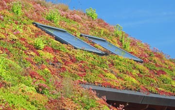 Hembridge living roof systems