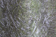 Hembridge fibreglass roof work